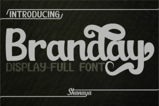 Branday: A Retro Script Font for Eye-Catching Web Design