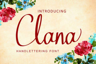 Clana: A Handcrafted Script Amp Font for Modern Web Design