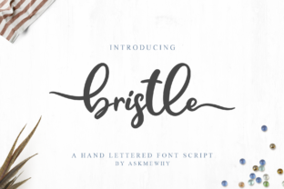 Enhance Your Brand with Bristle: A Premium Script Font