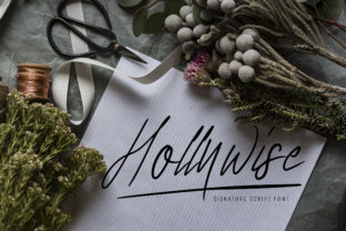 Hollywise: Elevate Your Brand with This Elegant Script Font